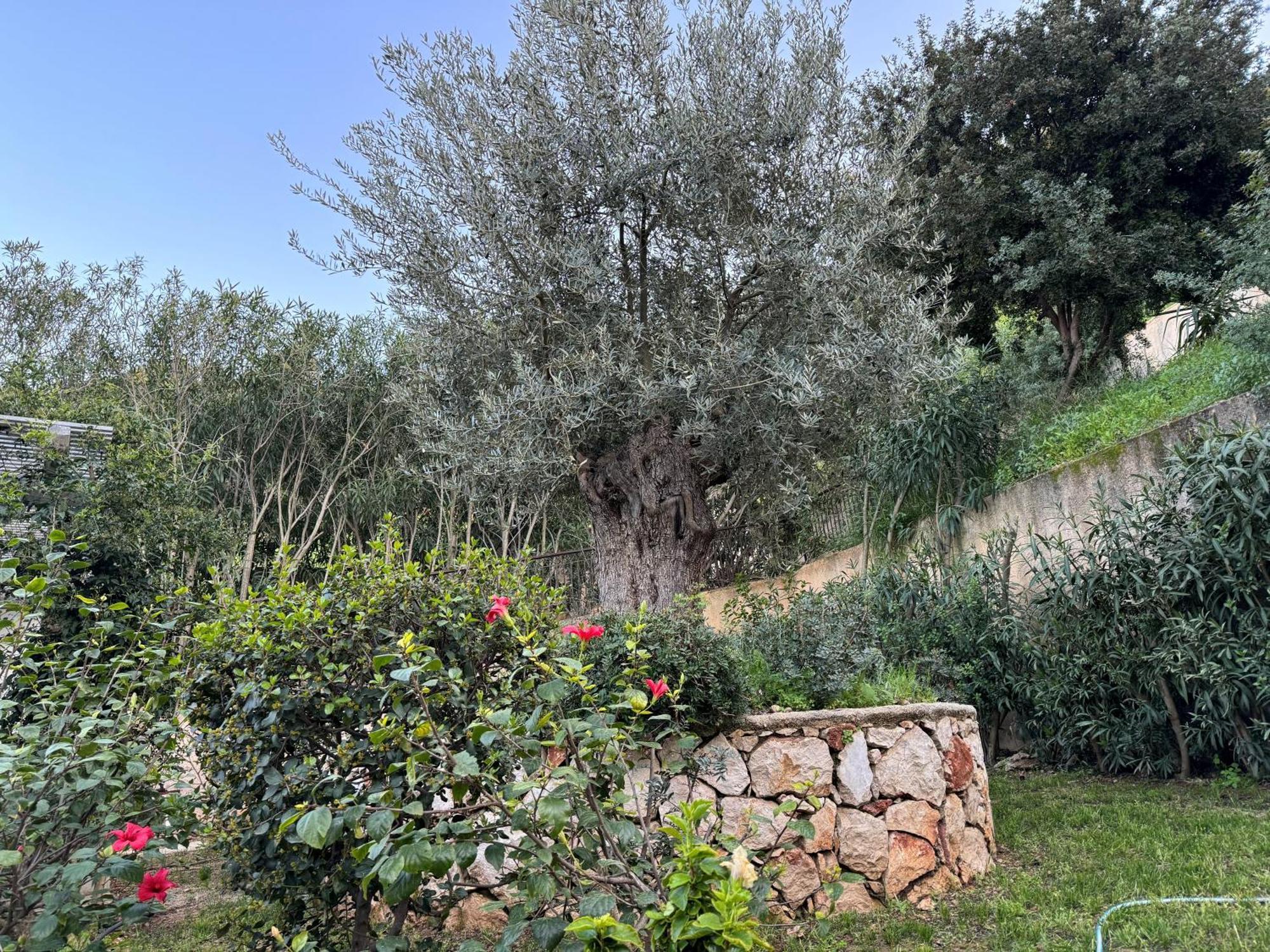 Villa Nova S.R Sea View Porto Heli Dış mekan fotoğraf