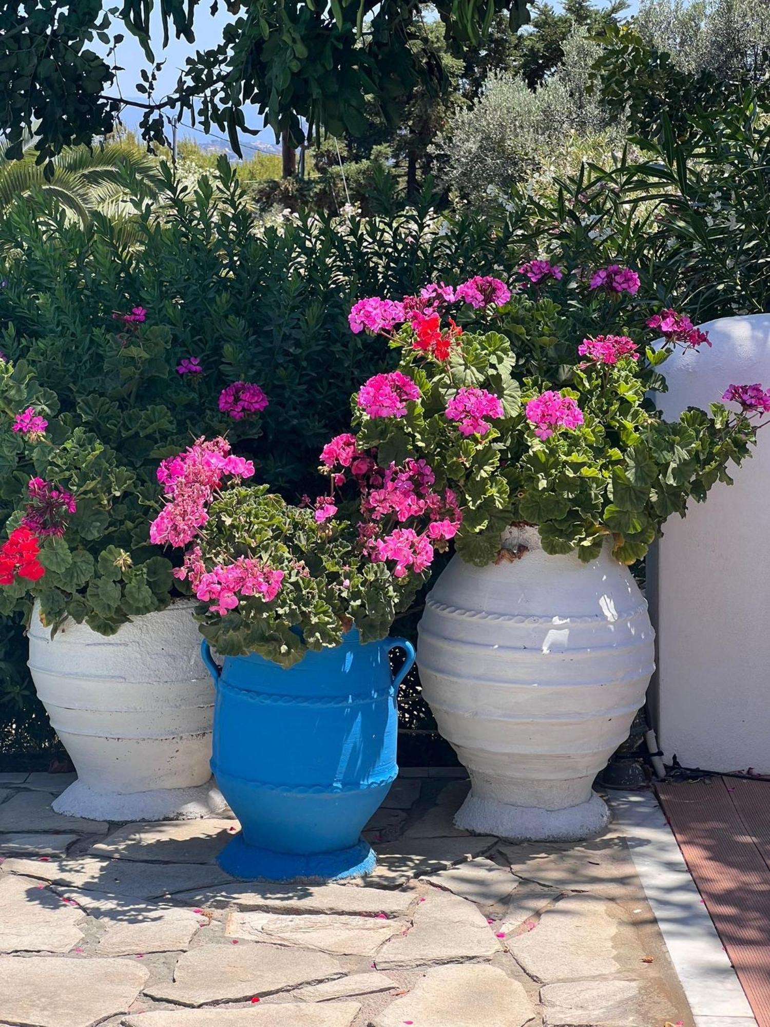 Villa Nova S.R Sea View Porto Heli Dış mekan fotoğraf