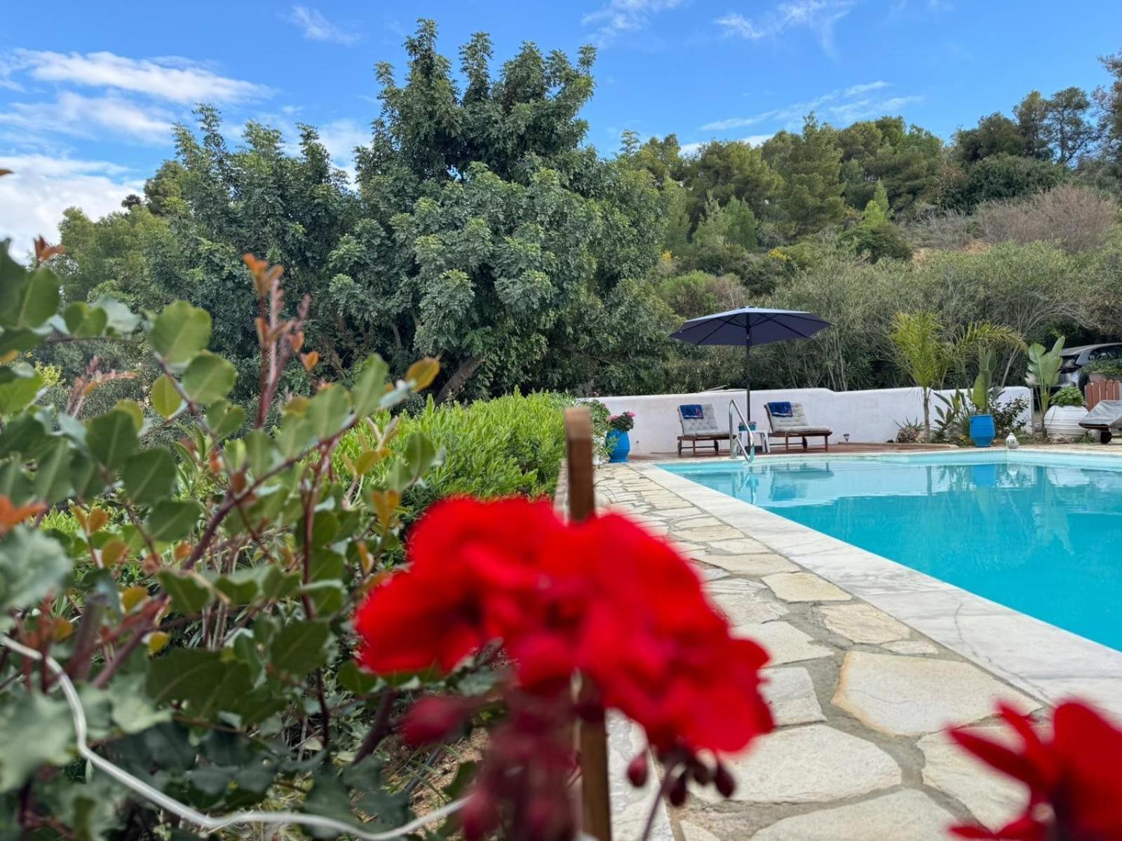 Villa Nova S.R Sea View Porto Heli Dış mekan fotoğraf